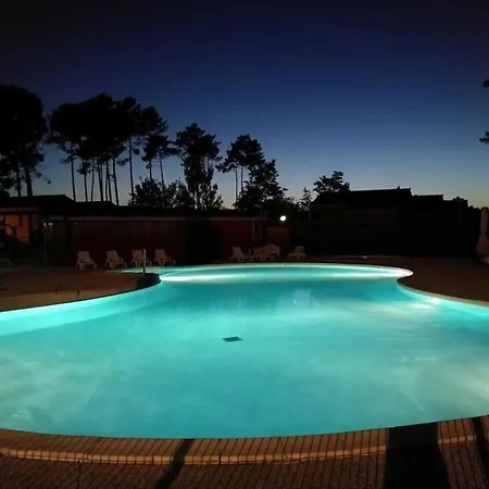 Bois A Proche Mimizan Bias (Landes)